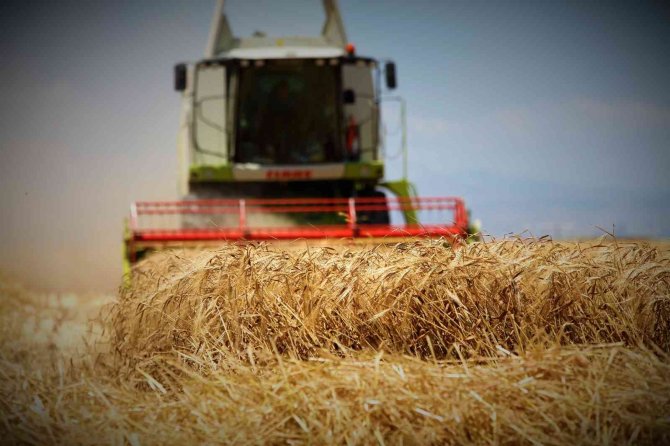 Konya Ovasında hububat ürünlerinde verim ve kalite arttı
