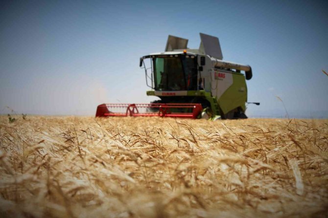 Konya Ovasında hububat ürünlerinde verim ve kalite arttı