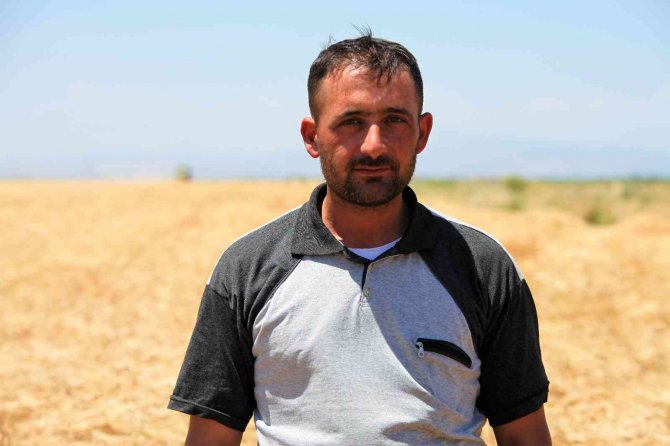 Konya Ovasında hububat ürünlerinde verim ve kalite arttı