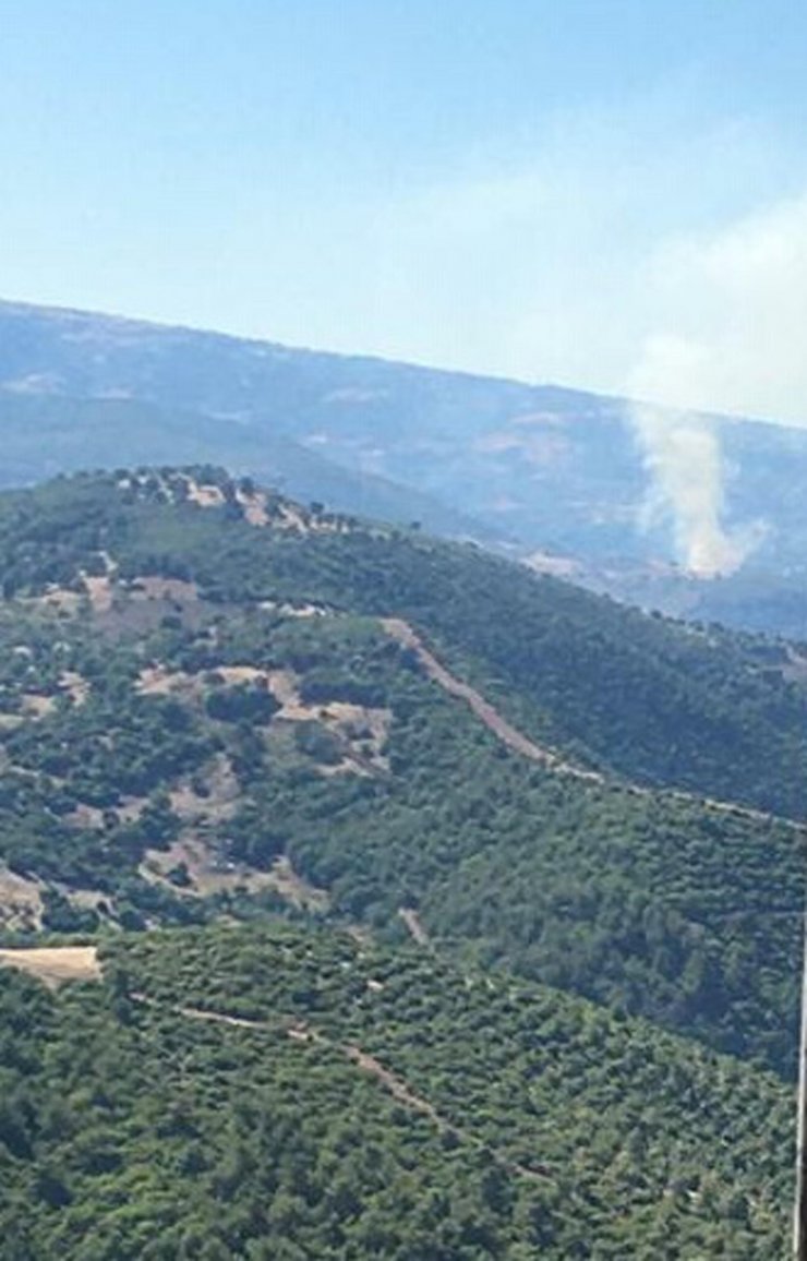 Manisa'da çıkan orman yangınına müdahale ediliyor