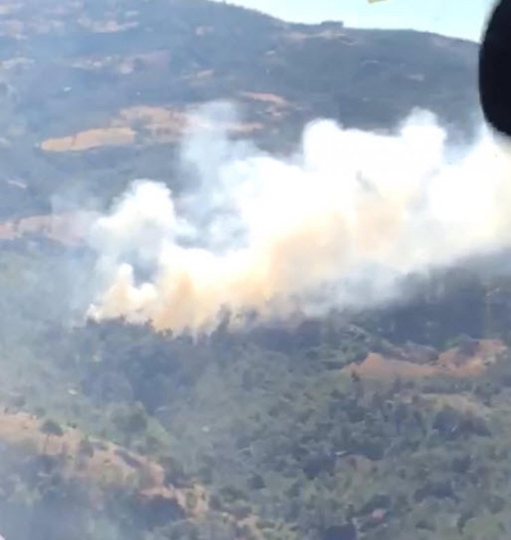Manisa'da çıkan orman yangınına müdahale ediliyor