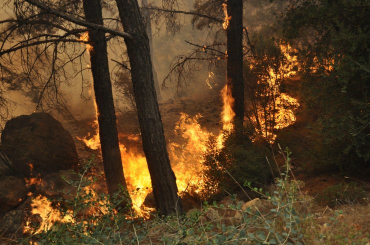 Muğla Valiliği'nden 'orman yangını' uyarısı 