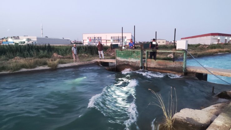 Serinlemek için girdiği sulama kanalında kayboldu