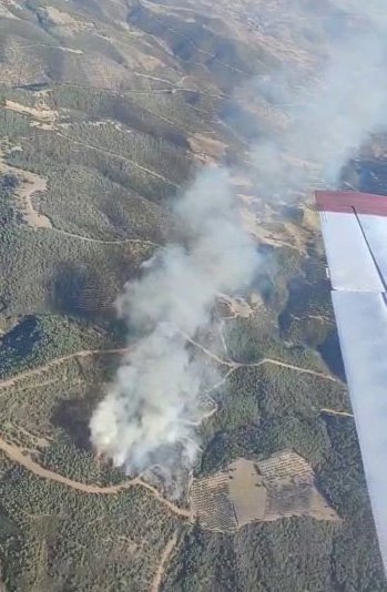 Aydın'da orman yangını