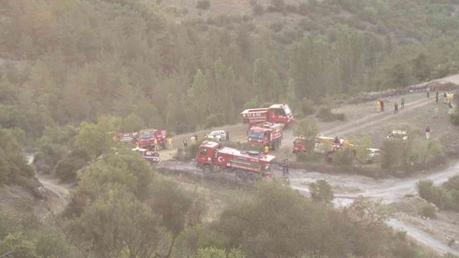 Balıkesir’deki orman yangını kontrol altına alındı