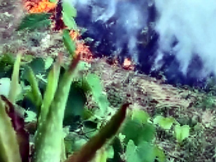 Bir saat ara ile iki arsada yangın