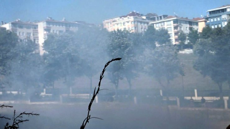 Bir saat ara ile iki arsada yangın