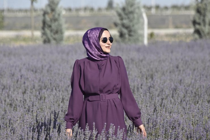 Moloz yığınlarıyla kaplı alan, lavanta bahçesine dönüştü 