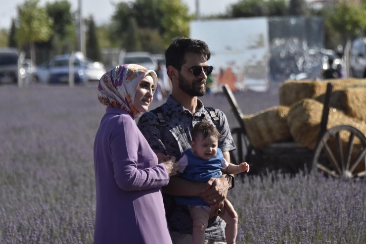 Moloz yığınlarıyla kaplı alan, lavanta bahçesine dönüştü 