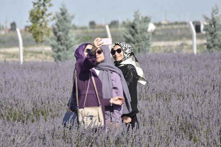 Moloz yığınlarıyla kaplı alan, lavanta bahçesine dönüştü 