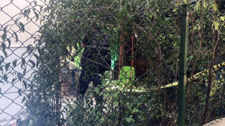 Salıncaktaki küçük Zeynep'i komşusu vurmuş; 'Köpeği korkutmak için ateş ettim'