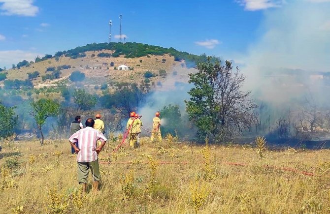 15 dekarlık ormanlık alan küle döndü