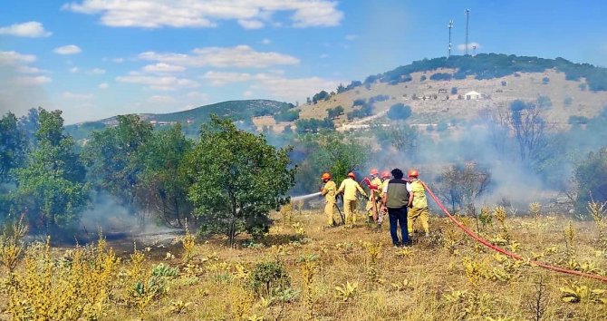 15 dekarlık ormanlık alan küle döndü