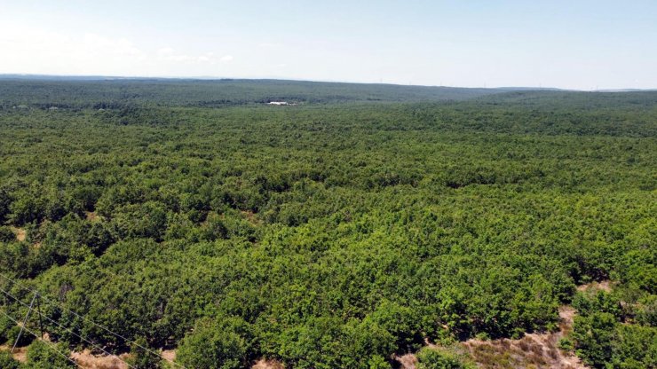 7 gündür kayıp Şehmus’un cep telefonu incelemede