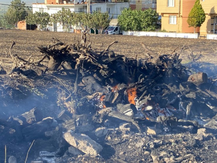 Anız yangınında alevler bahçesine sıçrayınca hortumla müdahale etti