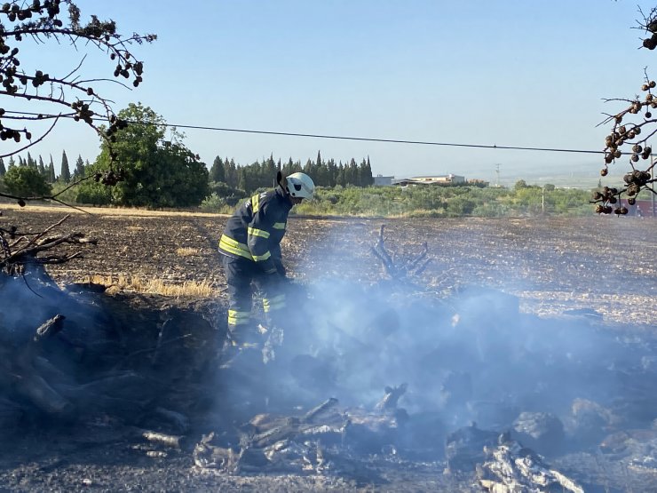 Anız yangınında alevler bahçesine sıçrayınca hortumla müdahale etti