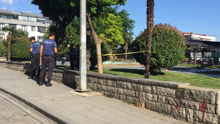 Baba ve oğlu parkta tabancayla vuruldu 