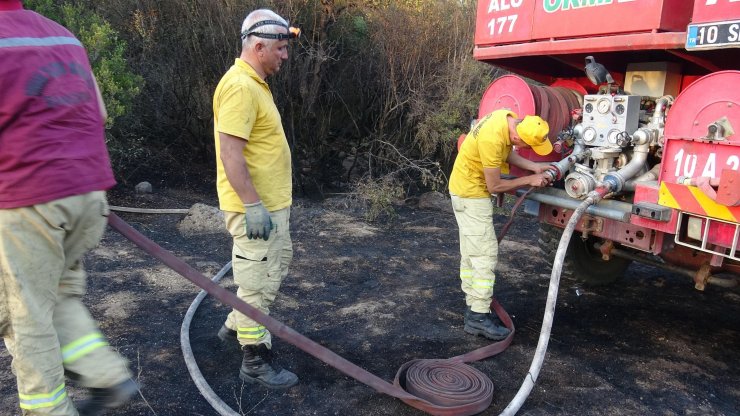 Balıkesir'deki orman yangınında soğutma çalışmaları sürüyor