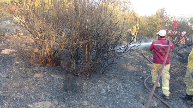 Balıkesir'deki orman yangınında soğutma çalışmaları sürüyor