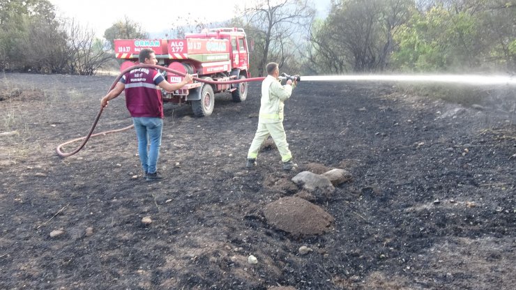 Balıkesir'deki orman yangınında soğutma çalışmaları sürüyor