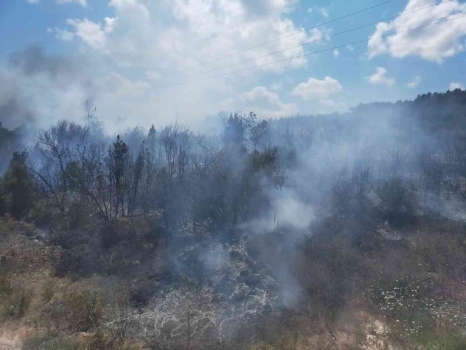 Bilecik’te makilik çıkan yangın büyümeden söndürüldü