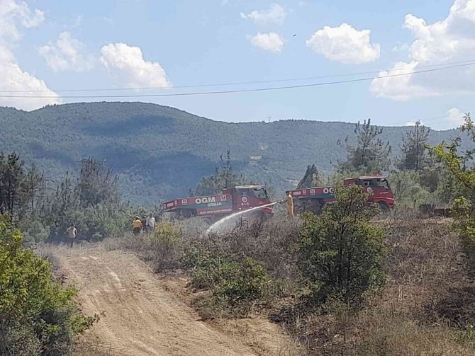 Bilecik’te makilik çıkan yangın büyümeden söndürüldü