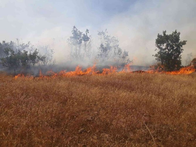Bingöl’de orman yangını büyümeden söndürüldü