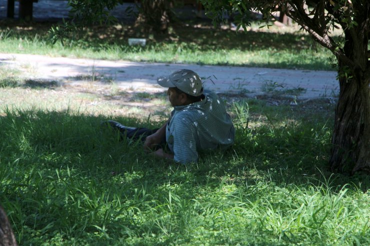 Bu ilde termometreler 42 dereceyi gördü