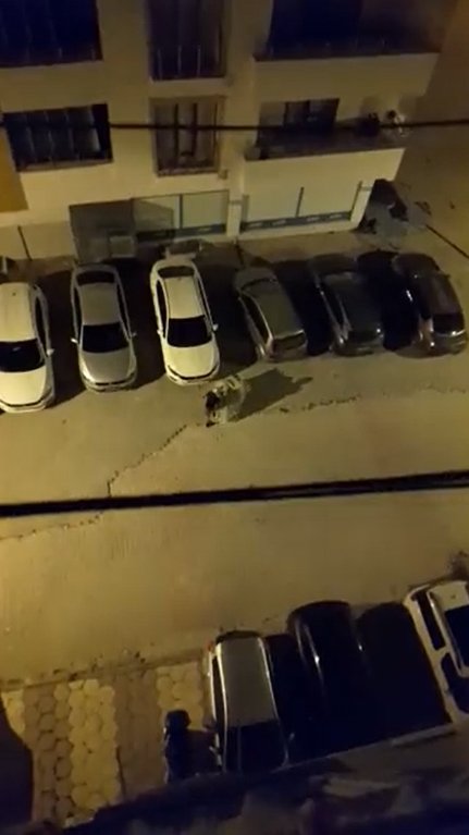 Çaldığı televizyonu naylonla gizleyip, el arabasıyla taşıdı