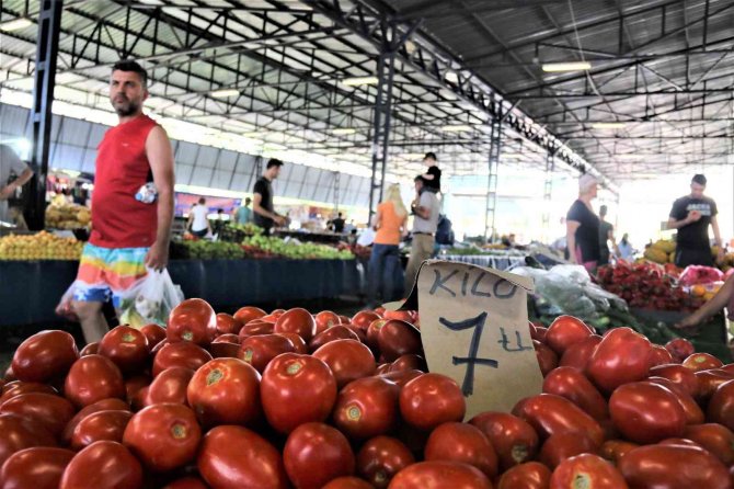 Dört gözle beklenen yayla domatesi pazarla buluştu