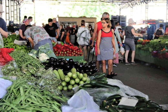 Dört gözle beklenen yayla domatesi pazarla buluştu