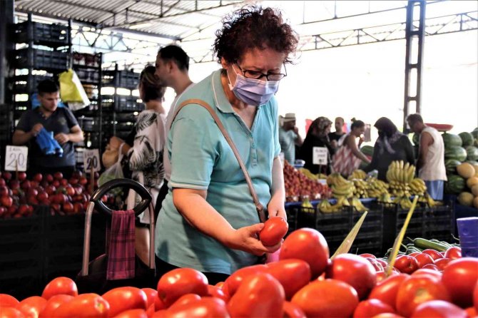 Dört gözle beklenen yayla domatesi pazarla buluştu