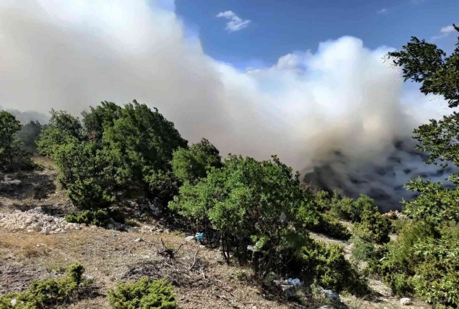 Eski çöplükte çıkan yangın ormana sıçramadan söndürüldü