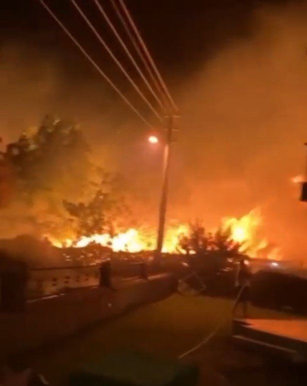 İzmir’de evlere yakın noktada yangın