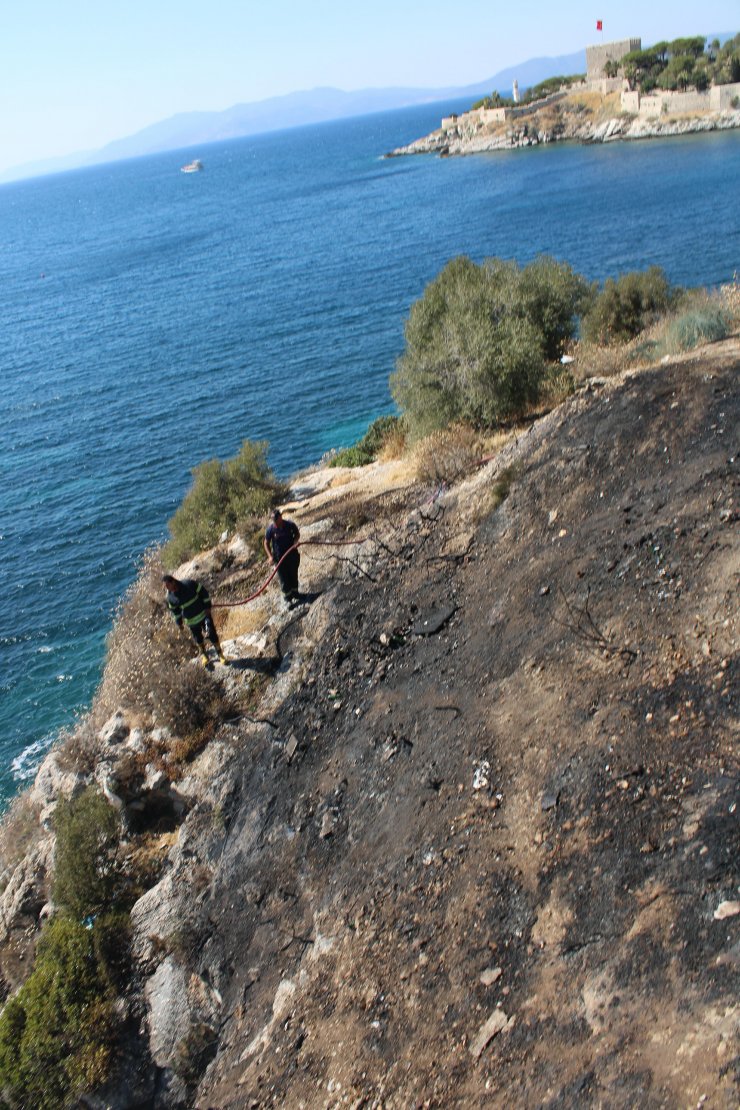 Makilikte çıkan yangın büyümeden söndürüldü