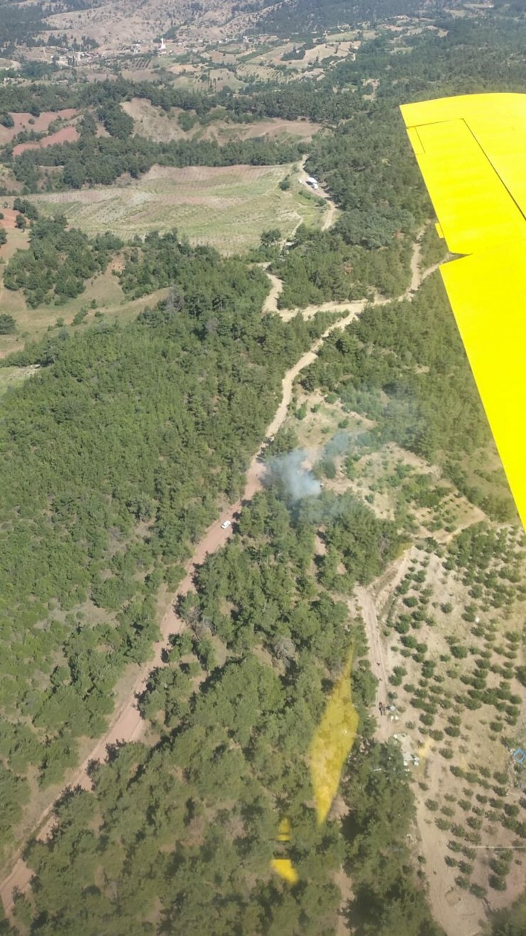 Manisa'da orman yangını