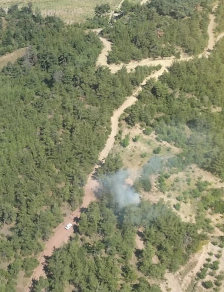 Manisa'da orman yangını