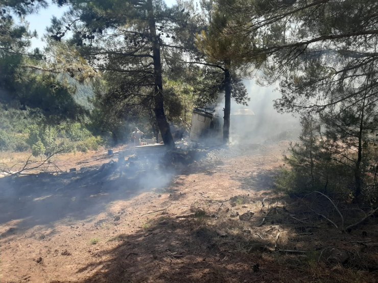 Manisa'da orman yangını