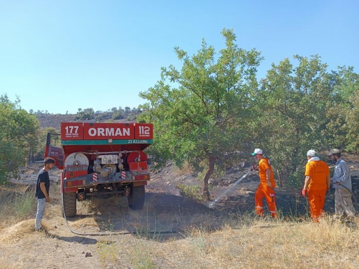 Orman yangını, büyümeden söndürüldü