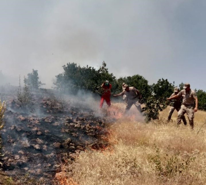 Orman yangını, büyümeden söndürüldü