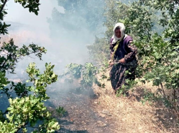 Orman yangını, büyümeden söndürüldü