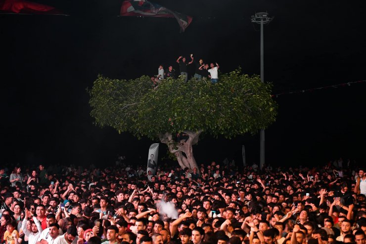 Özgecan Aslan meydanındaki kauçuk ağacın içine asit enjekte edildi