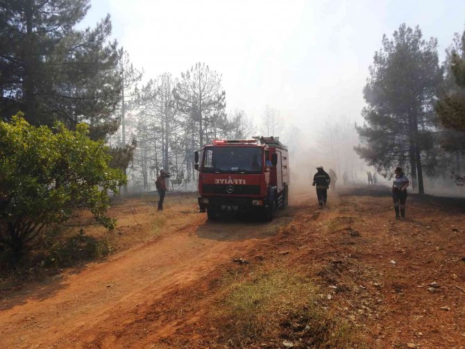Yangına ilk 7 dakikada yapılan müdahale faciayı önledi