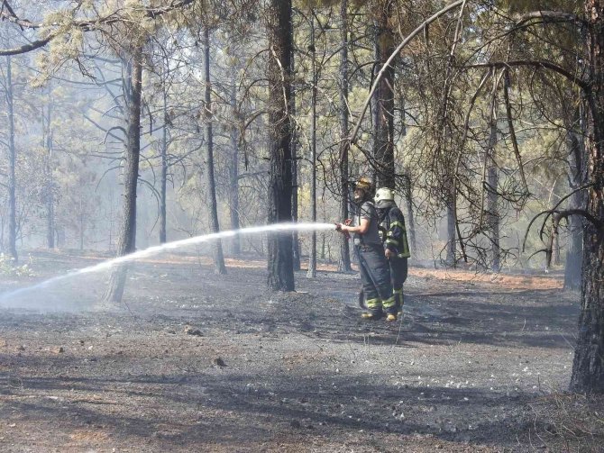 Yangına ilk 7 dakikada yapılan müdahale faciayı önledi
