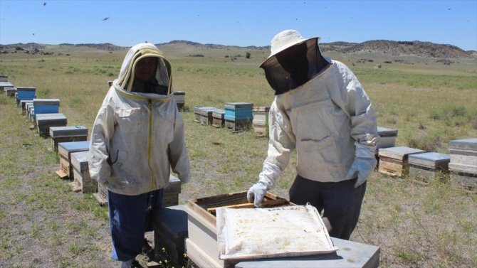 Bilici çifti 29 yıldır 'bal mesaisi' yapıyor