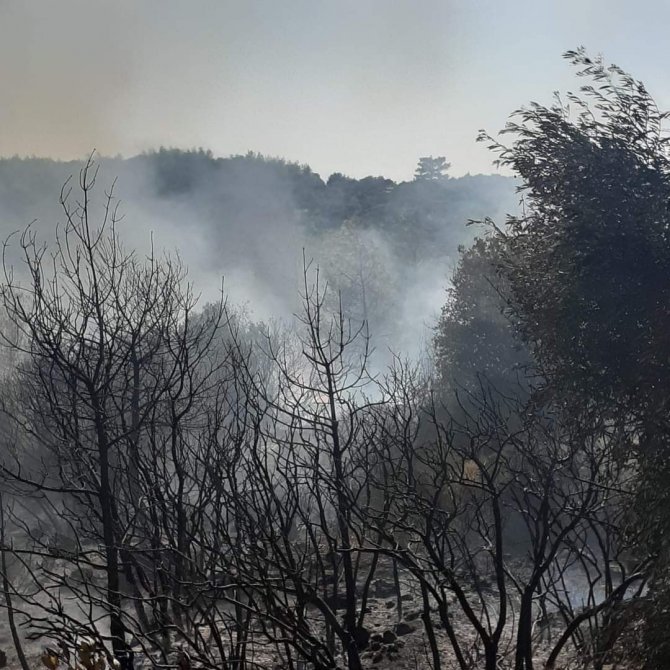 Alevlere havadan müdahale yoğun bir şekilde devam ediyor