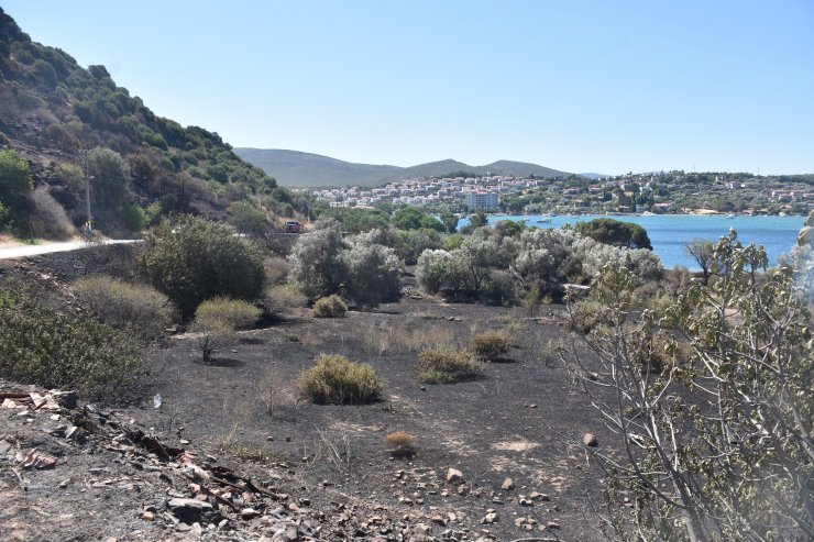 Çeşme'de yanan alan dronla görüntülendi