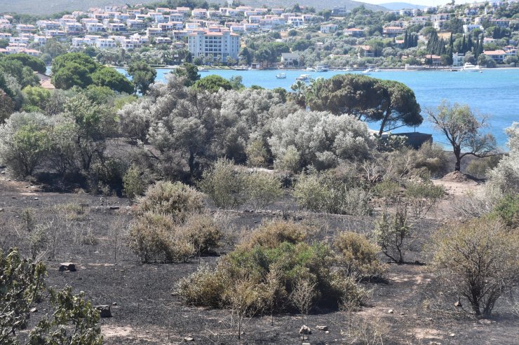 Çeşme'de yanan alan dronla görüntülendi