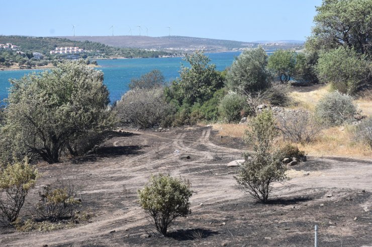 Çeşme'de yanan alan dronla görüntülendi
