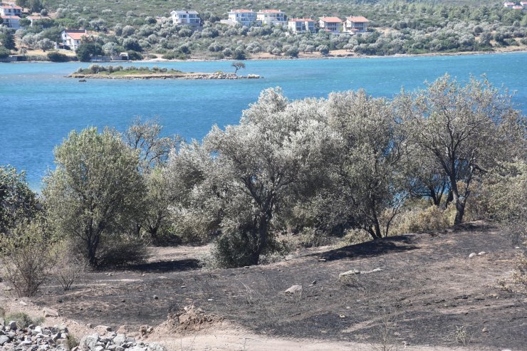 Çeşme'de yanan alan dronla görüntülendi